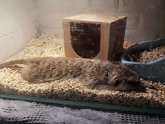 -平行世界·猫咖(首经贸店)