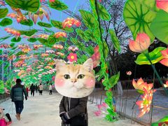 -沈阳奥体冰雪嘉年华
