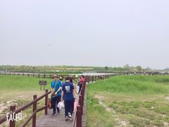 -西青郊野公园