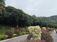 -立新湖公园
