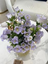 -WENDY·温迪皮肤管理