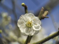 -鹫峰国家森林公园