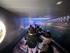-白鹤梁水下博物馆