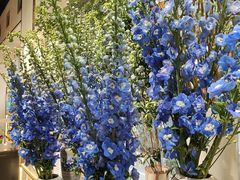 -弗劳尔花艺坊(龙涛店)