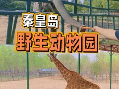 -秦皇岛野生动物园