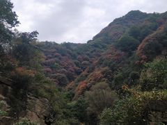-抱龙峪
