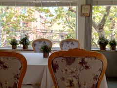 -蝶舍·MAISON PAPILLON