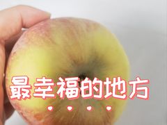 -拉蒂娜·巴西牛排馆 Latina·Brazilian Steakhouse(王府井喜悦店)
