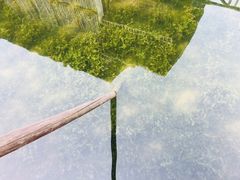 -乌镇西栅景区-月老庙