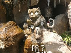 -清迈夜间动物园