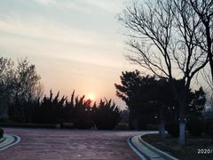 -长兴岛海滨公园