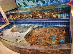 大扇贝-乔哥铭洋海鲜自助(皇城恒隆广场店)