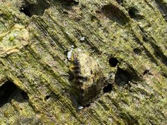 -三亚鹿回头高尔夫球会-停车场