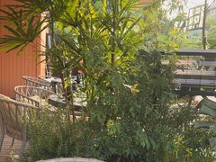 -芸鲜季·云南野生菌餐厅· 云南风物味研社(闵行店)