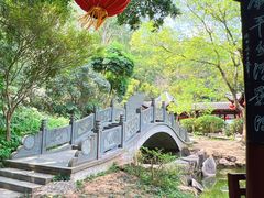 -深圳国际园林花卉博览园