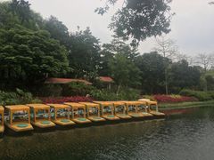 -晓港公园