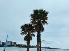 -咸德海水浴场