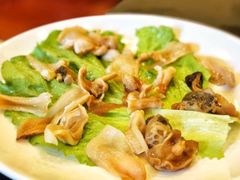 白蚌-吉友粥底火锅(方斜路店)