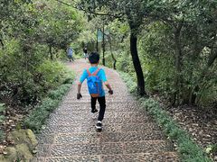 -杭州半山国家森林公园