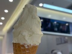 -野人先生现做冰淇淋(北京环宇荟店)