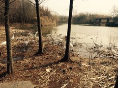 -溱湖国家湿地公园