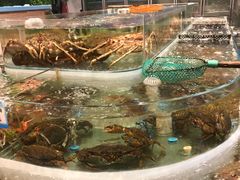 -海蓝海鲜馆(五四北店)