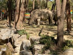 -北京野生动物园