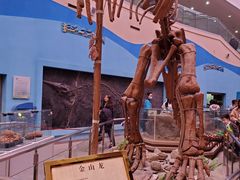 -陕西自然博物馆