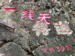 -天女山森林公园