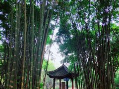 景点-望江楼公园