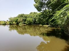 -邓小平故里