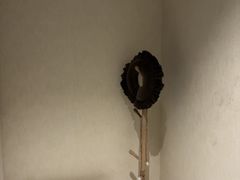 -筋骨堂热敷推拿按摩(翠华路店)