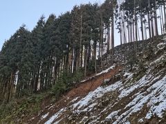 -太阳湾风景区