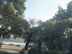 -浙江西子宾馆·瑶园咖啡厅