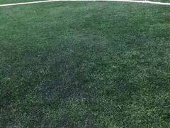 -布波运动公园羽毛球场