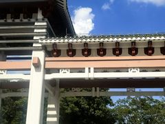 -王借岗森林公园