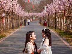 -武汉紫薇都市田园