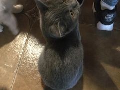 -共舞时光猫咖·狗咖(新街口店)