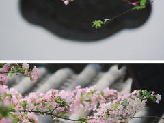 -棠湖公园