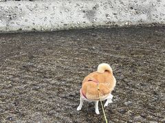 -白水寺森林公园