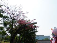 -映月湖公园