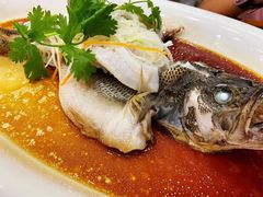 -绿江春(长江街店)