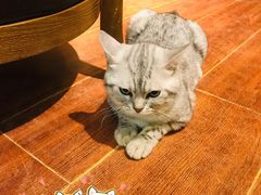 -H立方实景剧情密室(天河旗舰店)