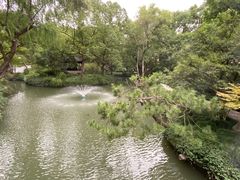 -上海醉白池公园