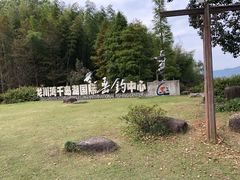 -龙川湾千岛湖国际垂钓中心