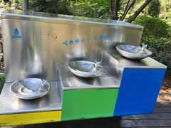 -昆山城市生态森林公园