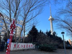 -龙塔