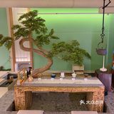 镇江探店 | 足道中的爱马仕💚20多种小吃畅吃