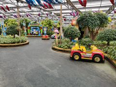 -南宫五洲植物乐园