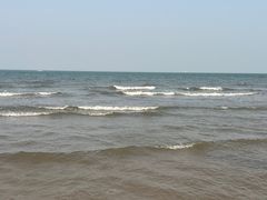 -日照海滨国家森林公园